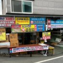 매미수산물명가