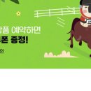 제주오케이렌터카 이미지