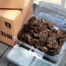 김제농장 이미지