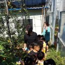 바다어린이집 이미지