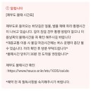 [제부도] '글램비 글램핑' 솔직후기 (feat. 풀패키지 목살🥩) / 제부도 펜션 / 제부도 글램핑