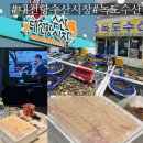 (주)대천청정맛김 | 보령 대천항 수산시장맛집 58호 녹도수산 포장 솔직후기