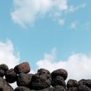 제주도한달살기 이미지