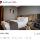 세종플러스 | [세종 호텔] 세종에 단 두개있는 4성급 호텔 중 1곳, 세종 베스트웨스턴플러스 호텔 다녀온 후기