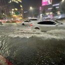 강남카써비스 이미지