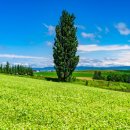 비에이(B/A) 이미지