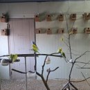 유일1목장 이미지