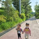 서호꽃뫼(2) 이미지
