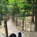 청사초롱 유아숲체험원 이미지