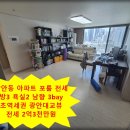 솔내음 파비르 이미지