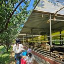 드림한우농장 이미지