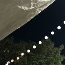 바닷가작은숲 이미지