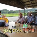 참새 허수아비 이미지