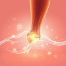 엔씨에스 | 감마리놀렌산 효능 여성 건강과 피부 보습을 위해 직접 선택해본 후기