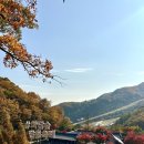 당산오돌 방이점 이미지