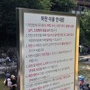 샘터농원 | 서울 근교 애견동반 계곡, 동두천 왕방계곡 다녀 온 후기