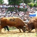 민속한우 판매장 이미지