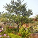 맹골마을 이미지