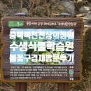 카페더레이크 | 충북 옥천 가볼만한 곳 천상의 정원 수생식물학습원 봄꽃 구경 대청호 카페 더 레이크 재방문 후기