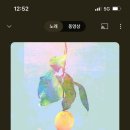 메이준 이미지