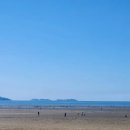 소나무캠핑 이미지