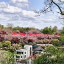 꽃동산분식 이미지