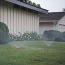 최웅식의원 이미지