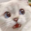 화통정 | 결혼정보회사순위 추천받고 성공한 후기