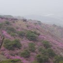 고려산주유소 Daum카페