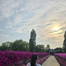 뚜띠 파스타 이미지