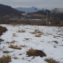 양평엔옥천공인중개사사무소 이미지