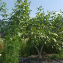 덕곡농장 이미지