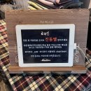 일영로 | 추천 교외선] 내돈내산 경기 드라이브 갈만한 곳_분좋카 빙수 맛집 경기도 카페 추천_인생샷 카페 후기