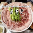 애니카랜드 독산점 | 금천구 독산동 맛집 고기집 숙성 삼겹살 미나리와 함께 싸먹는 금백돈