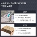 미니100