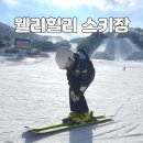 웰리힐리 스키장 | 웰리힐리 스키장 후기 : 슬로프 식당 카페 부대시설 리프트권 할인 등 모든것
