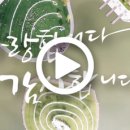 순천만힐링 이미지
