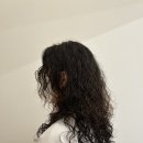 헤어셋틀러 이미지