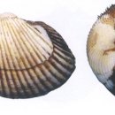 바다세상 이미지