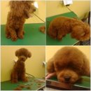 짱구슈퍼 이미지