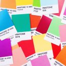 종곡초등학교 | 보은 종곡초등학교 진로체험｜꿈길 등록 색채전문가 직업체험 현장 기록