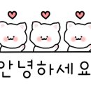 사림동303 이미지