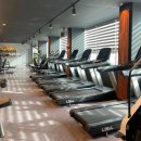 제이엠 GYM 이미지