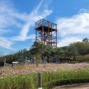 오렌지오락테마파크 이미지