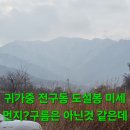 상황버섯 2곳산행.244 (수확좋음) 이미지