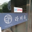 라비옥 이미지