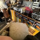 총각네 강아지 이미지