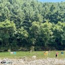 용소계곡 민박 | 가평 명지계곡 평상 취사 주차 화장실 등 모든 정보 A to Z (25.7.29)