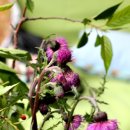 합계마을 이미지