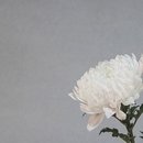 영산만산업(주) 이미지